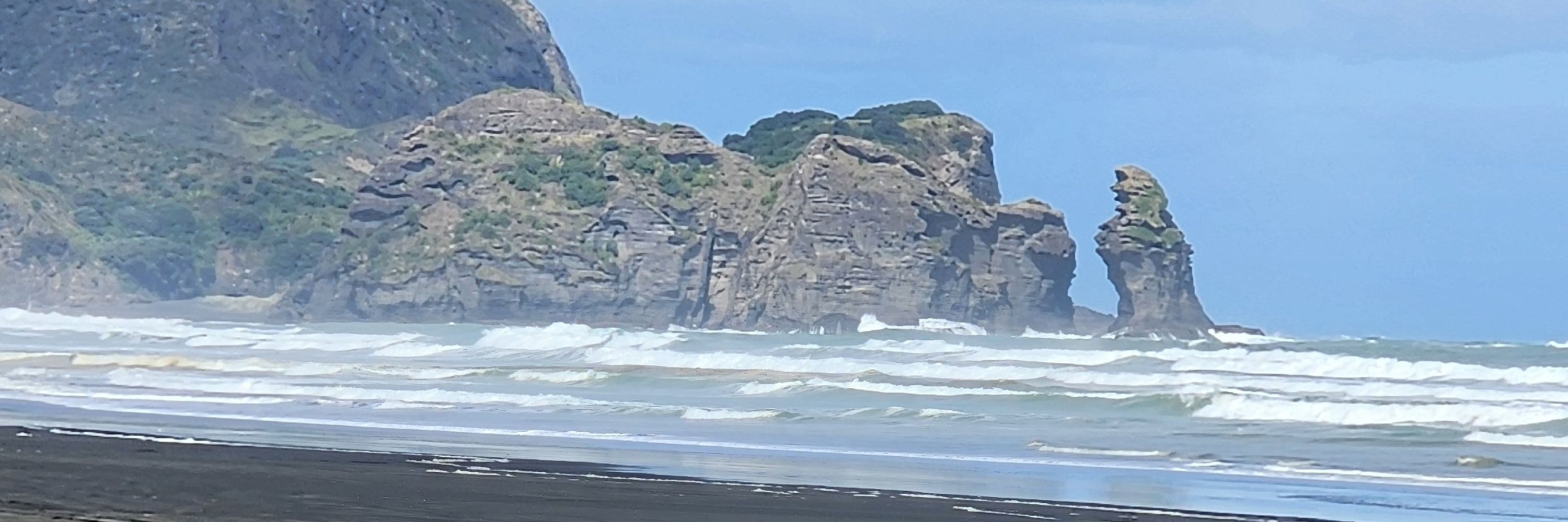 Silverfern422