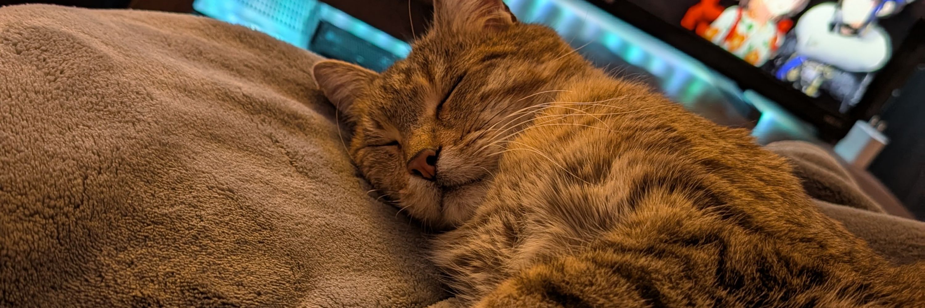 The Great Moof