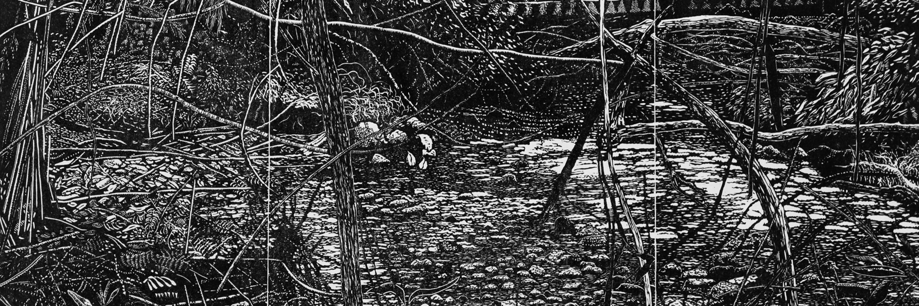 Chris Lawry Printmaker