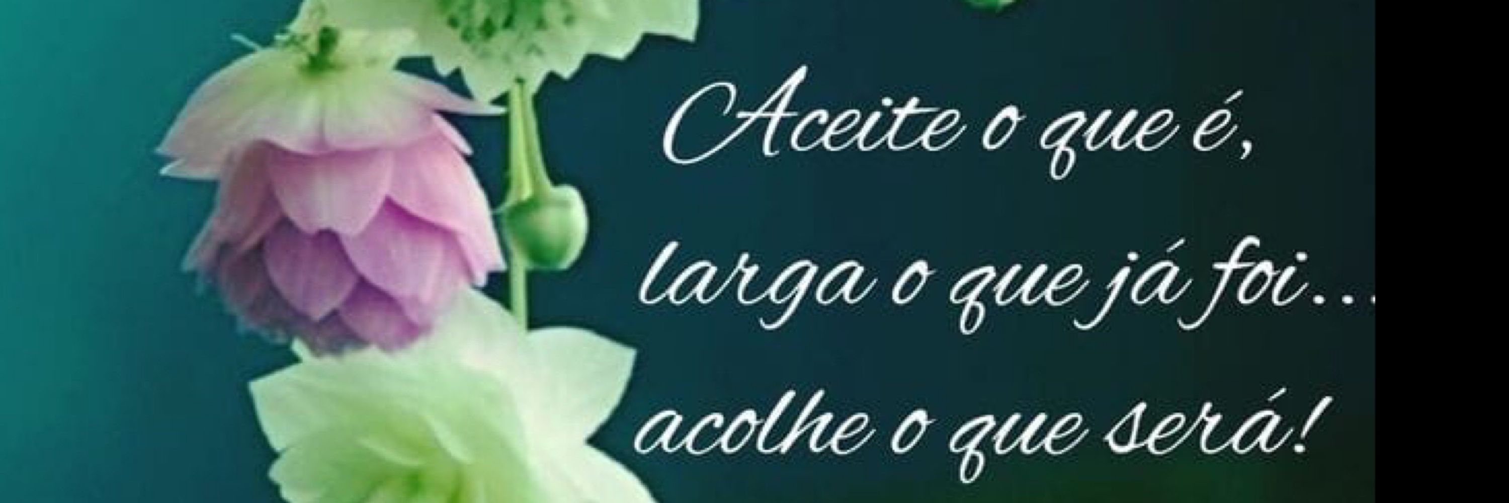 BeaFerr
