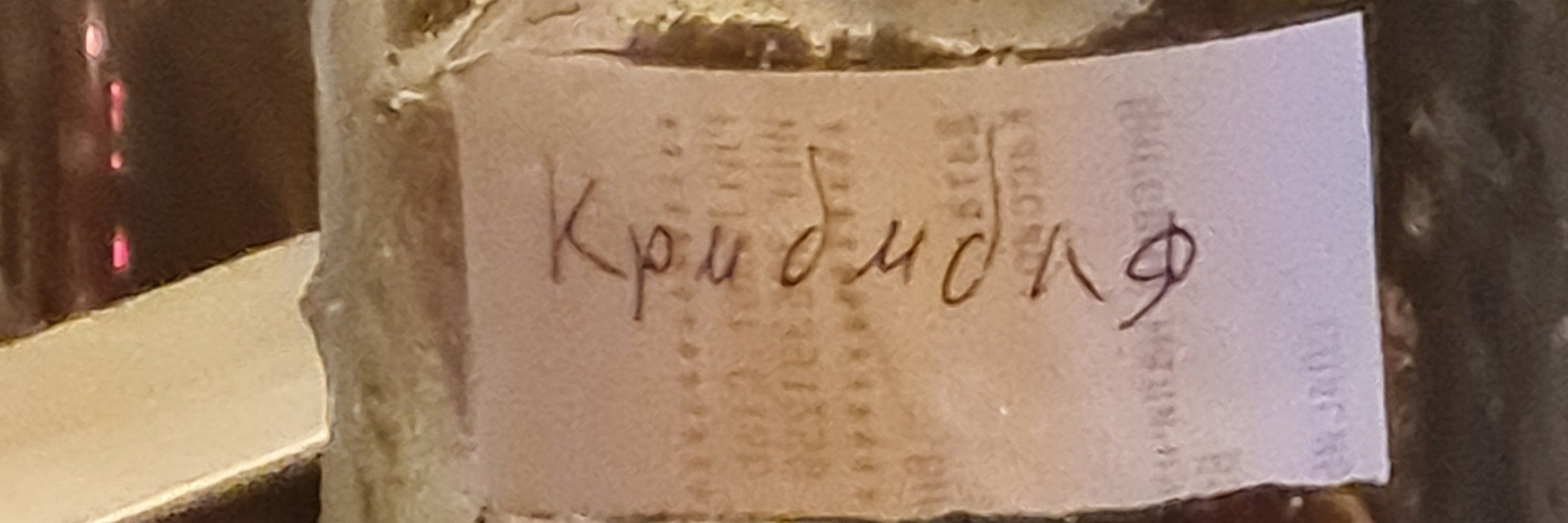 Kleodragon