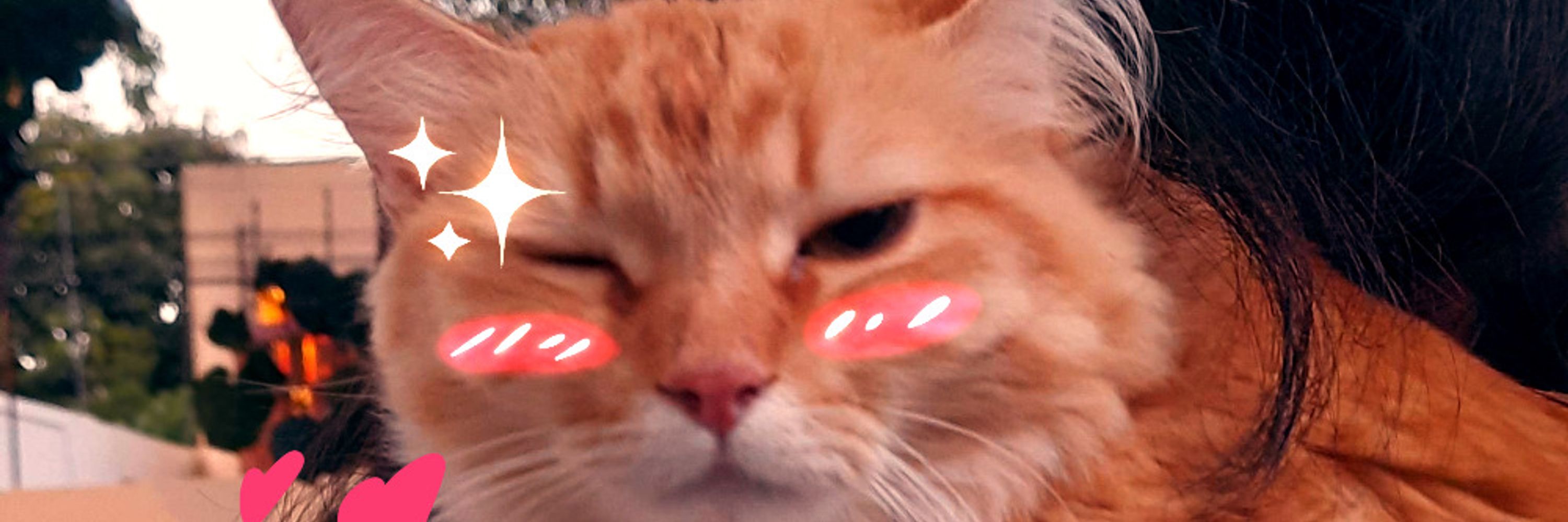 MeKVi