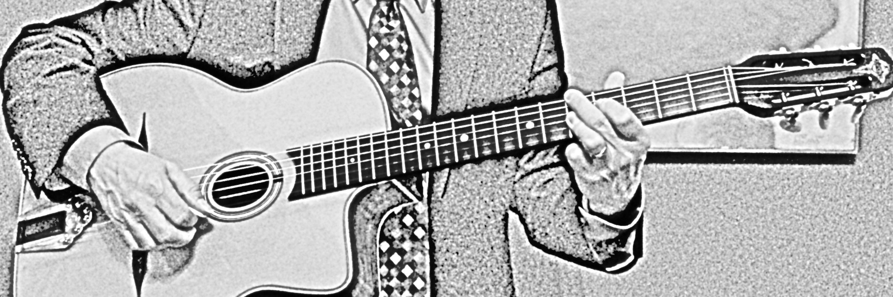 Guitar Flipper