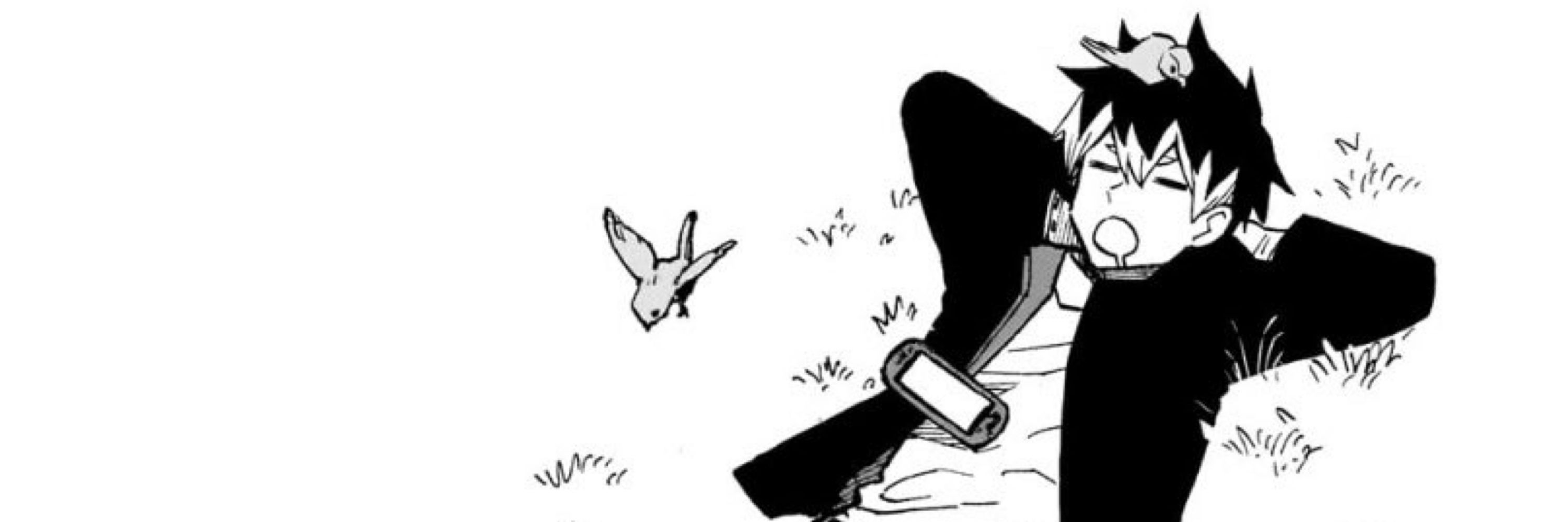 피비🦊