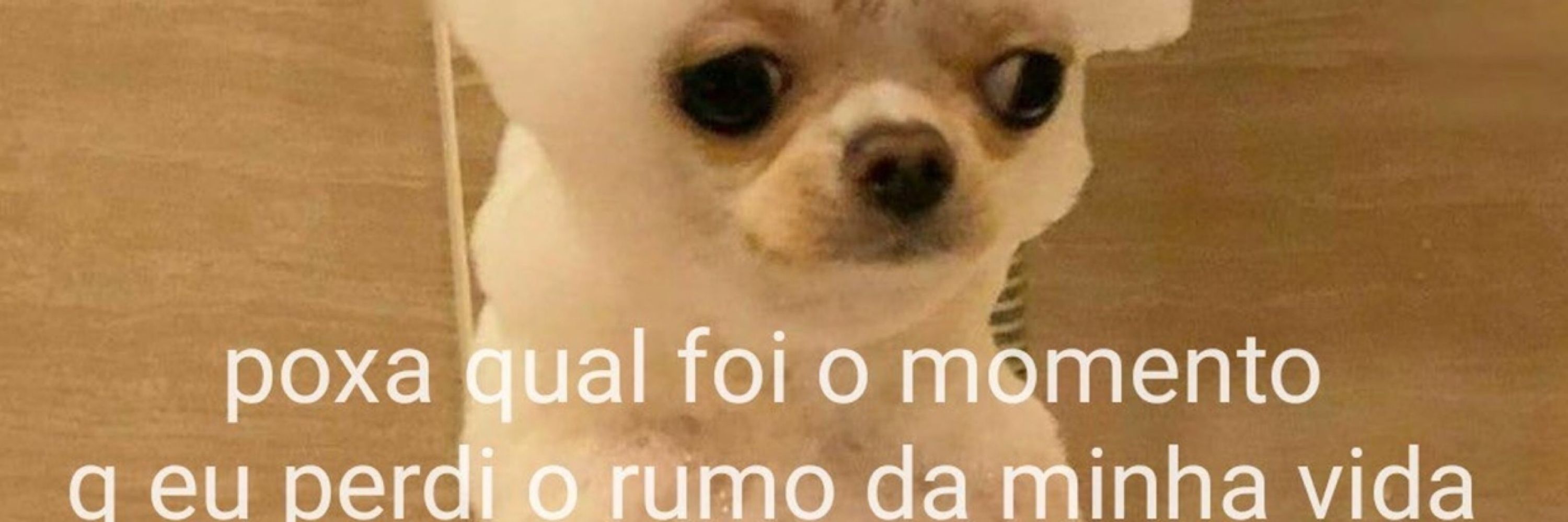 Bruna Marques 