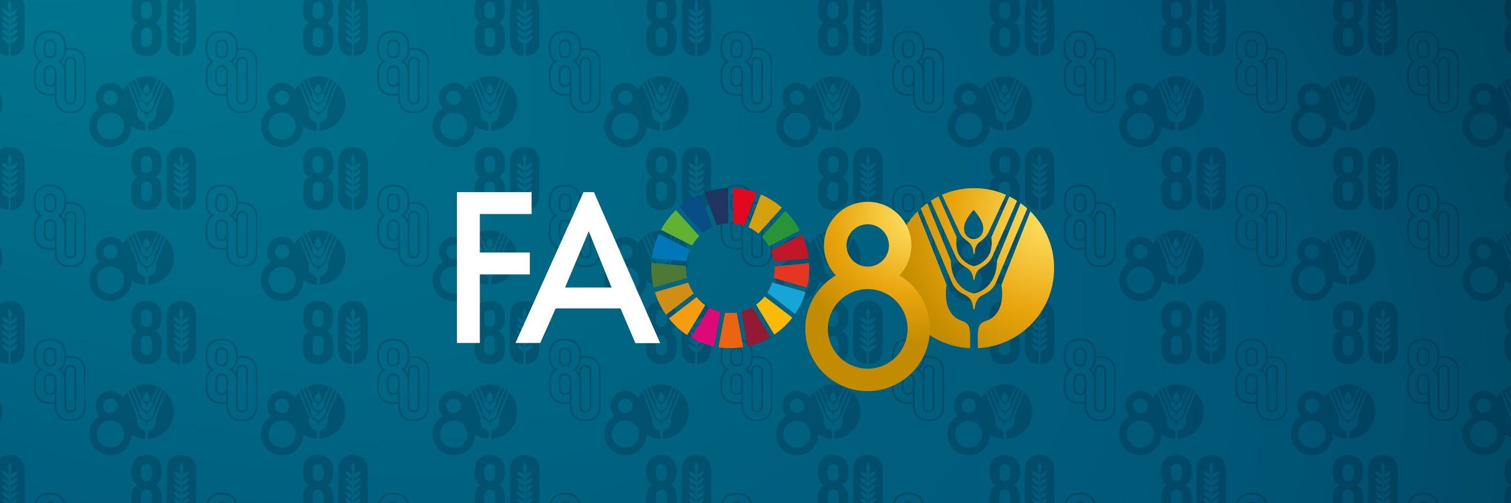 Food and Agriculture Organization of the United Nations