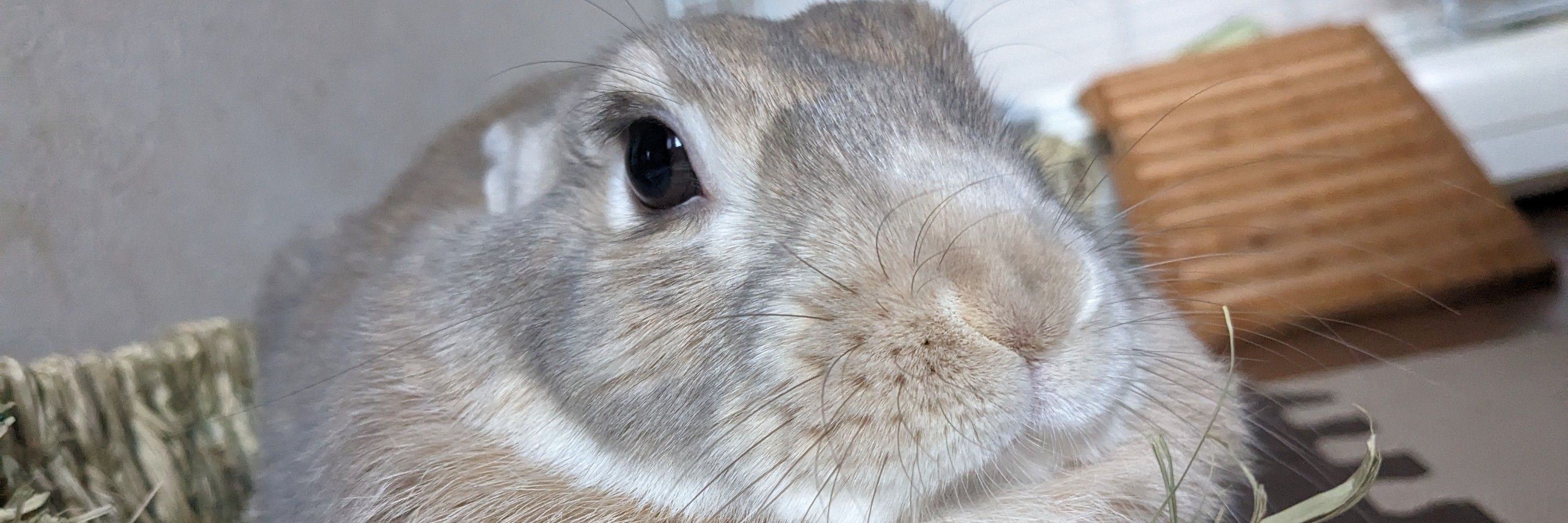 あーちゃん