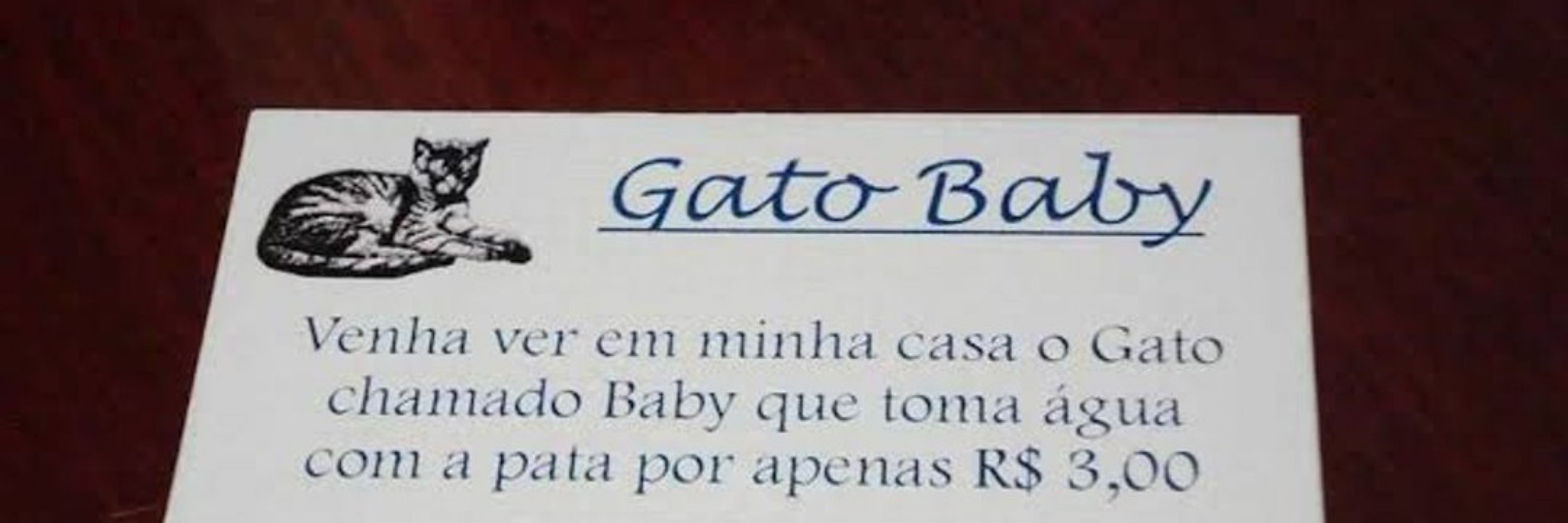  Belly Gerante 