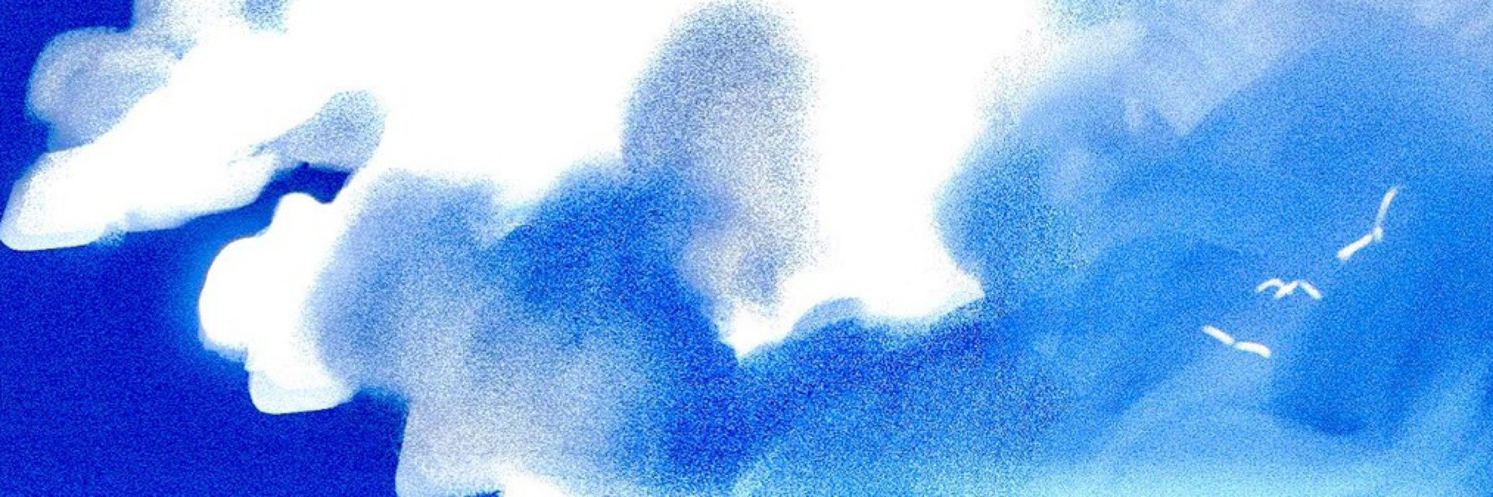 NO28
