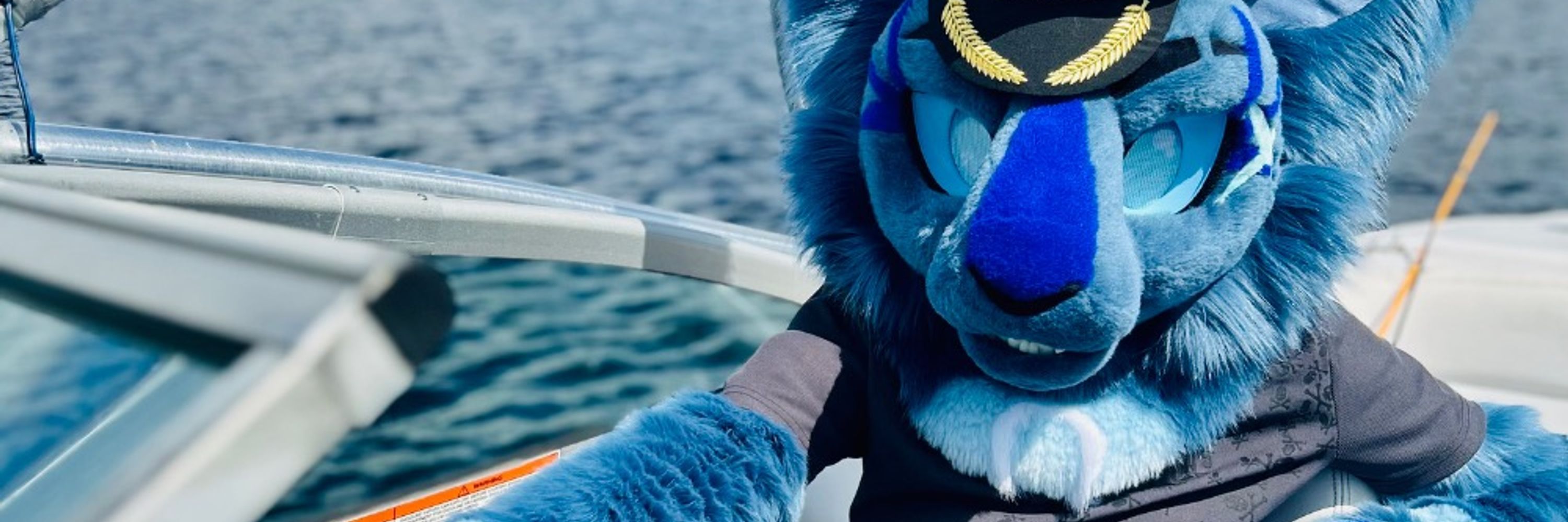 captn. maws 🌊⚓️🏴‍☠️