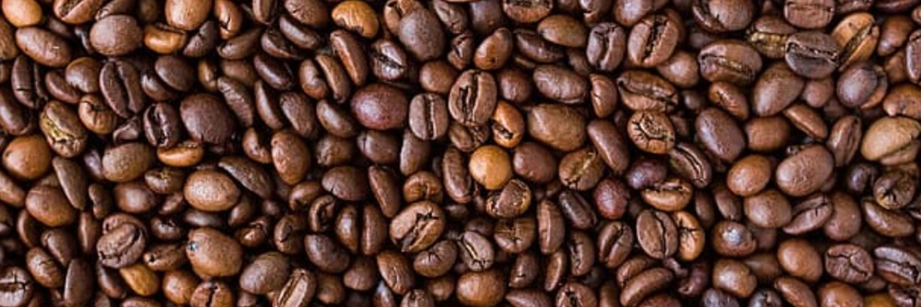 Ccino