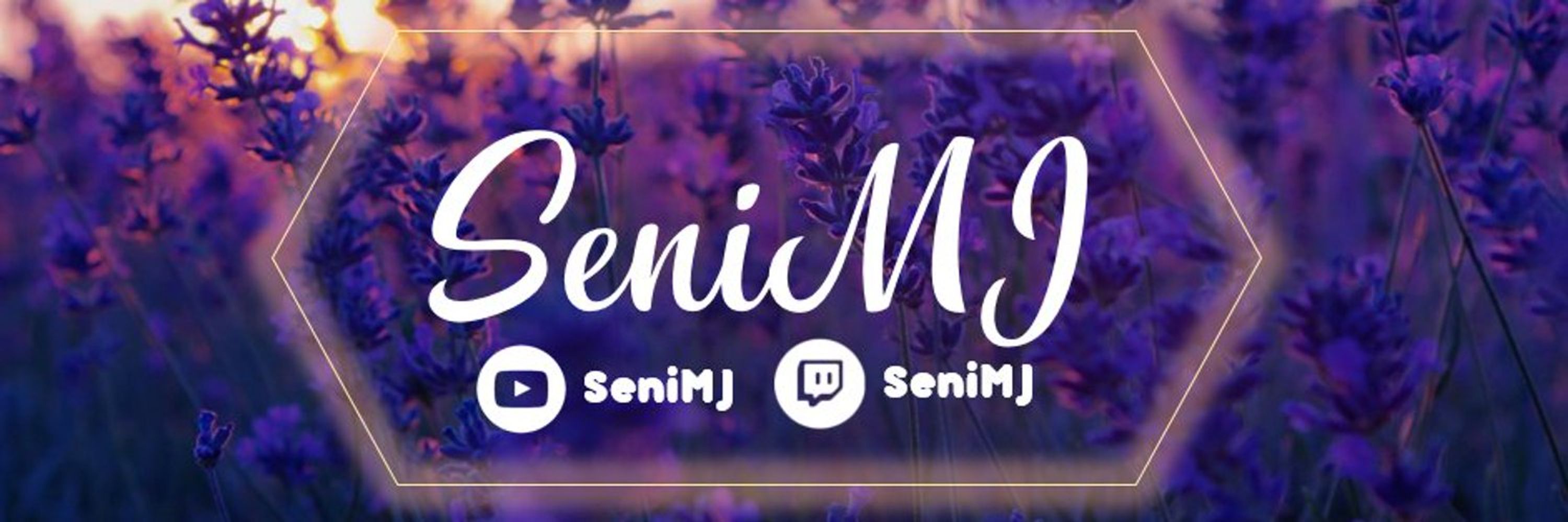 Seni