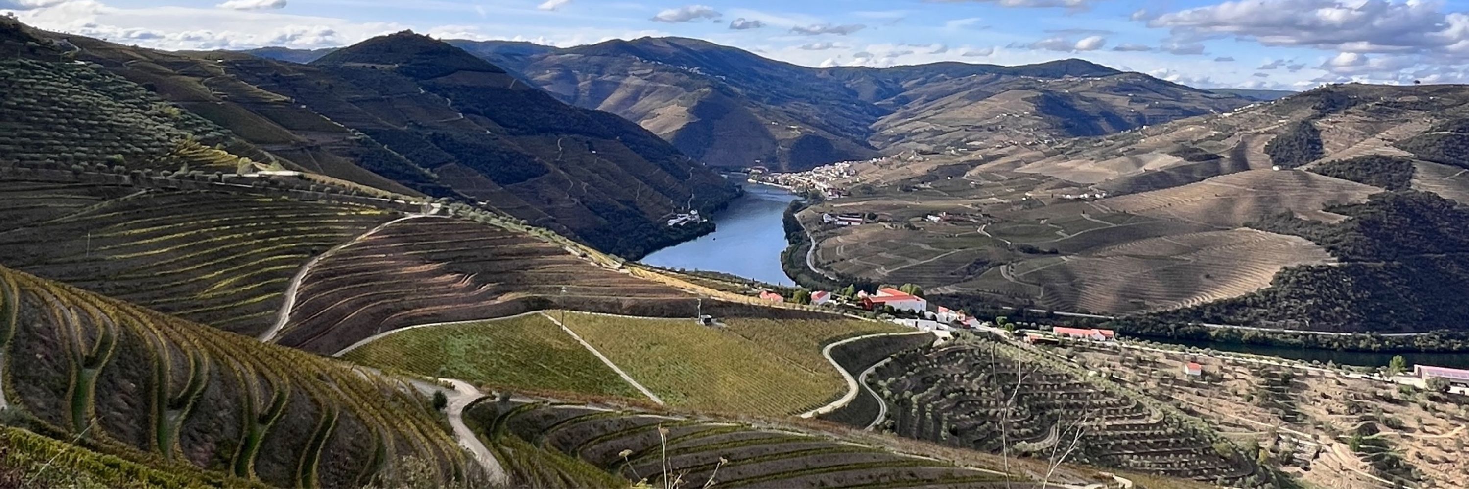 Tiago Maravilha | Portuguese Wine Guy