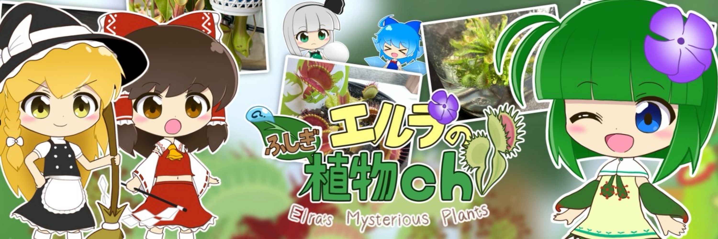 エルラ🪴食虫植物なYouTuber