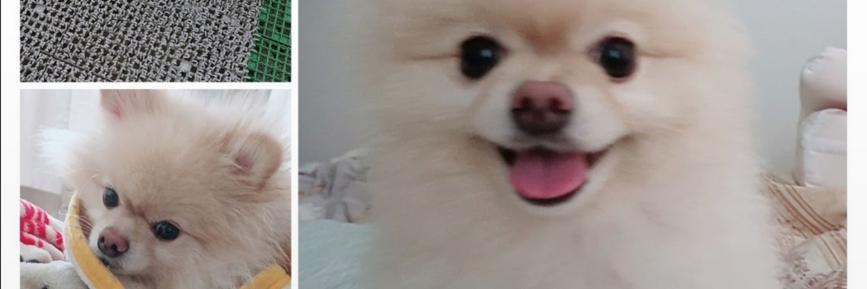 死乃