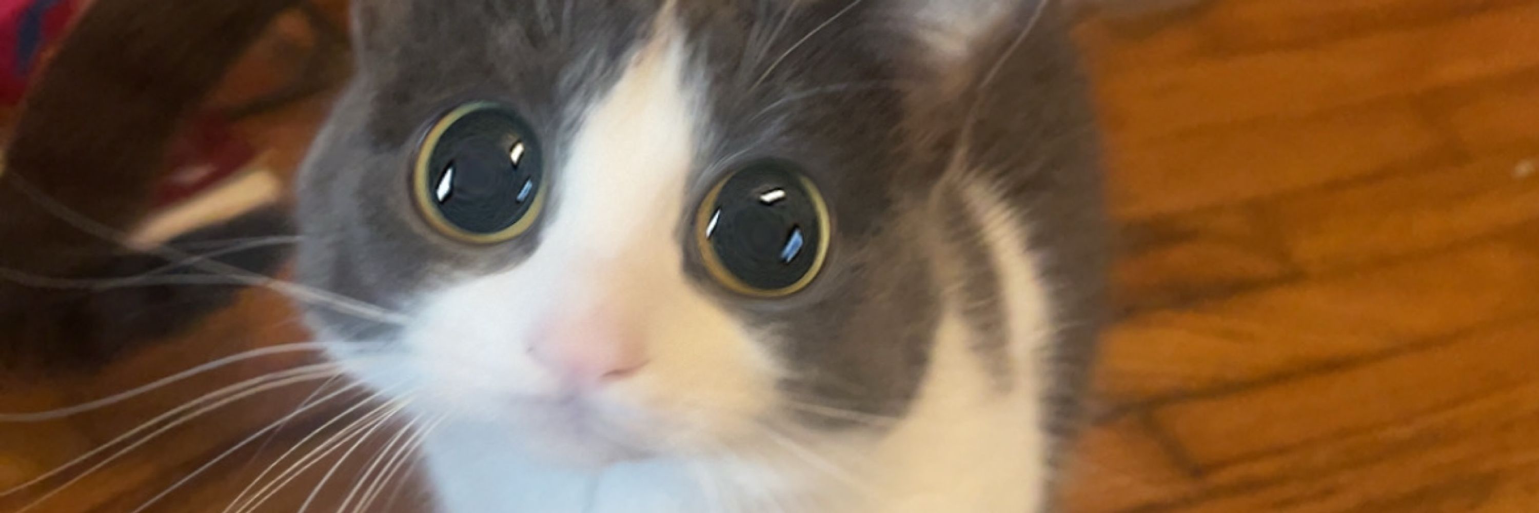 Les