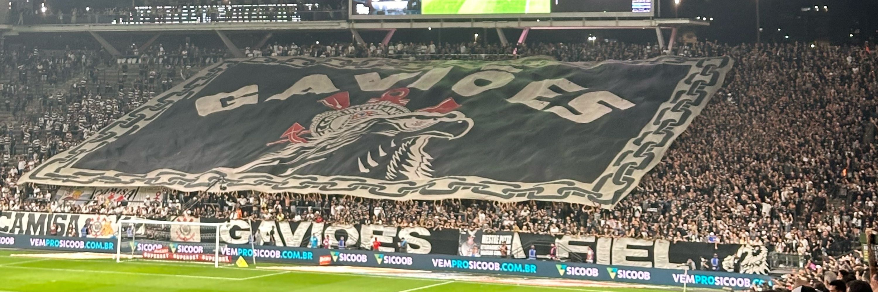 Bela 🦅
