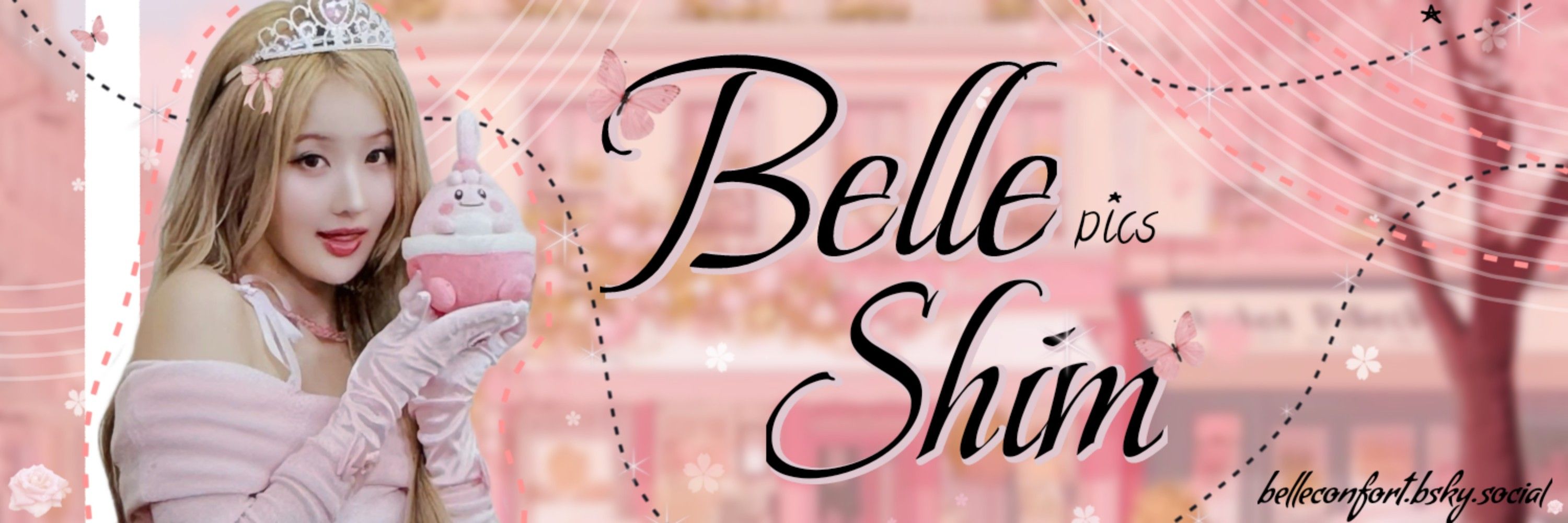 Belle Updates