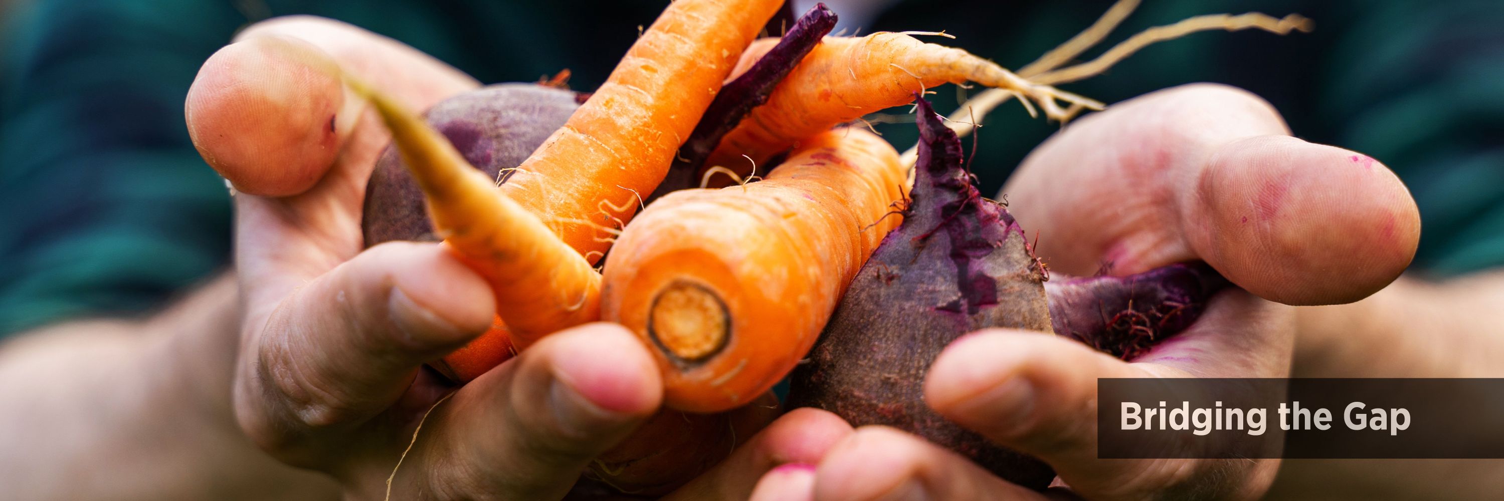 Second Harvest Food Bank Santa Cruz County