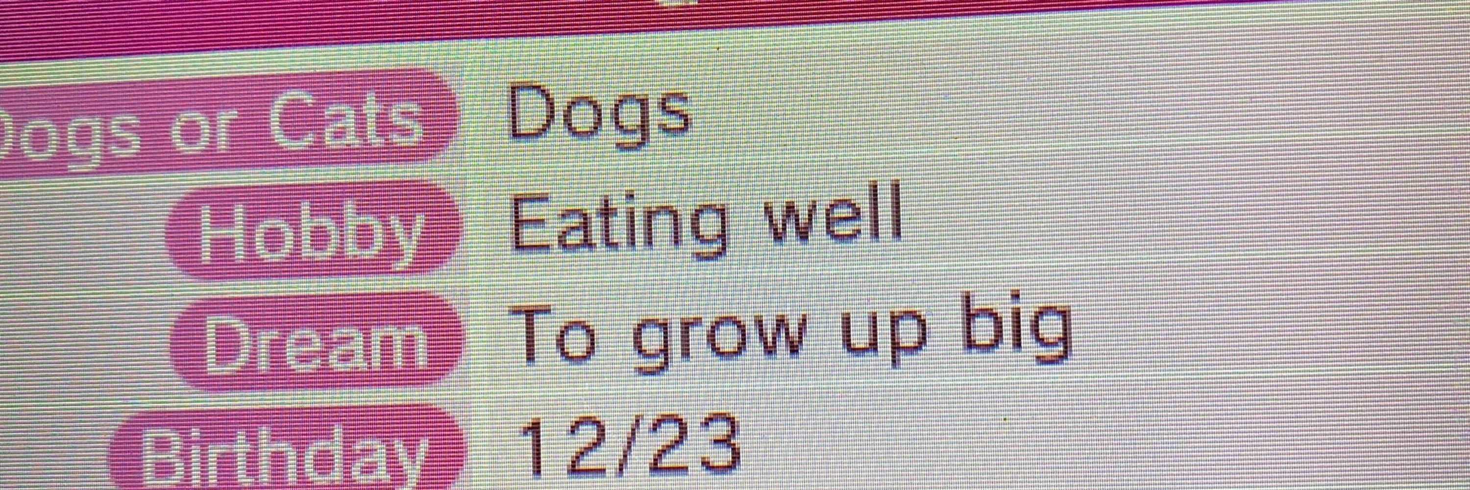 d mutt