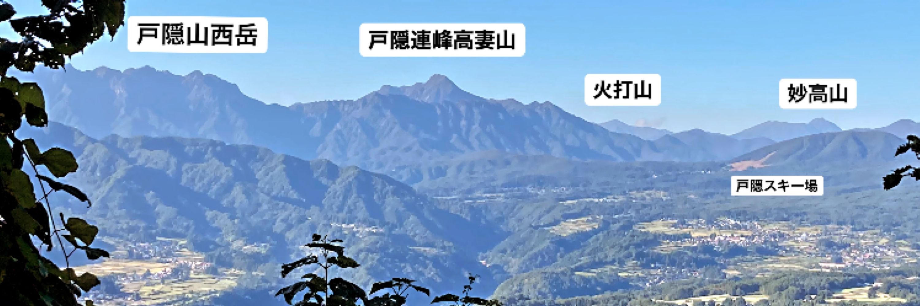 -とも-