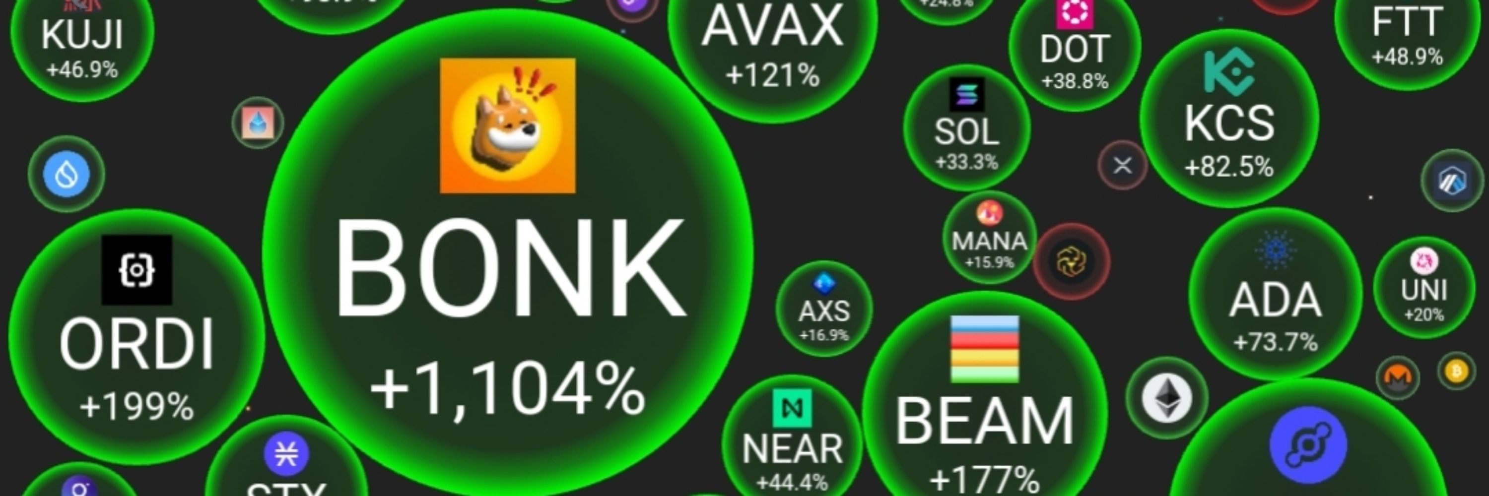 Suntoski X