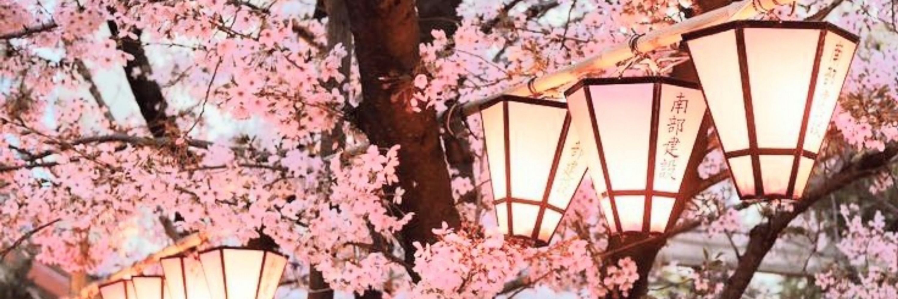 🌸❭❭ 𝗩𝗜𝗖𝗧𝗢𝗥 ¡!