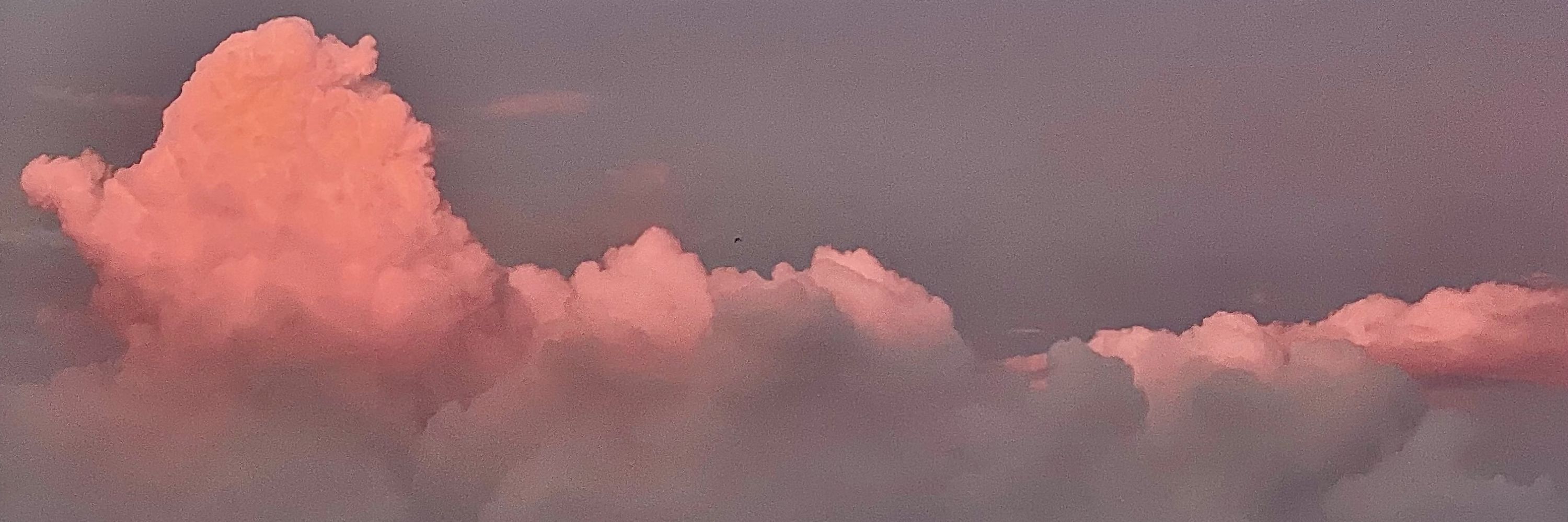 ︎⟡こに⟡