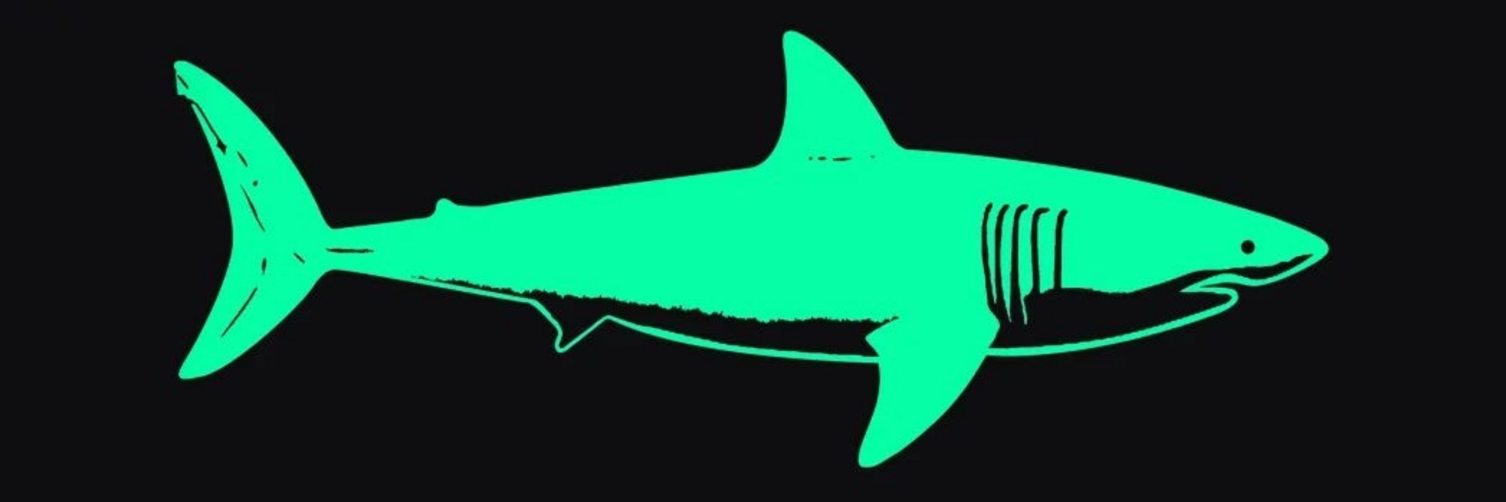 Shark Geek