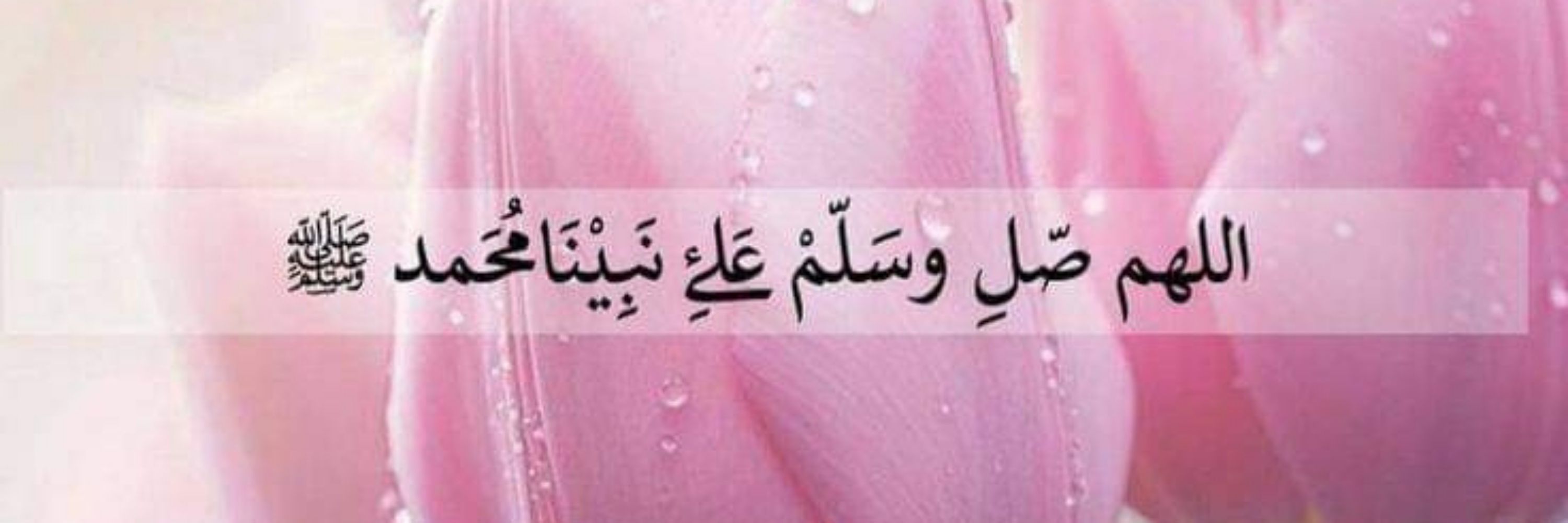 Ahmed Hussain