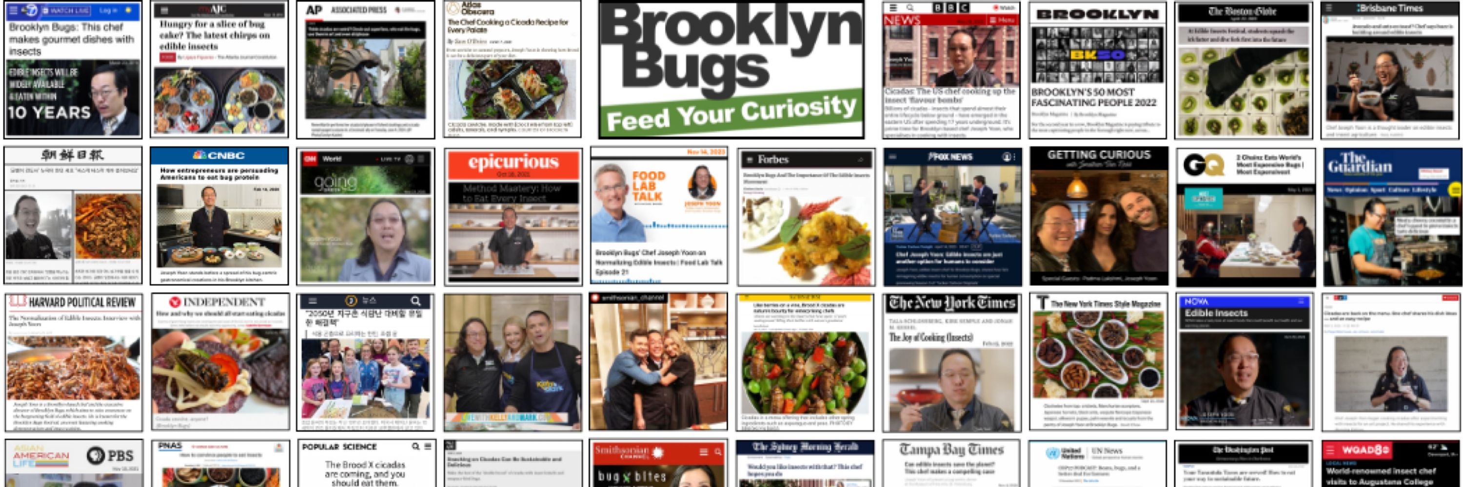 Brooklyn Bugs