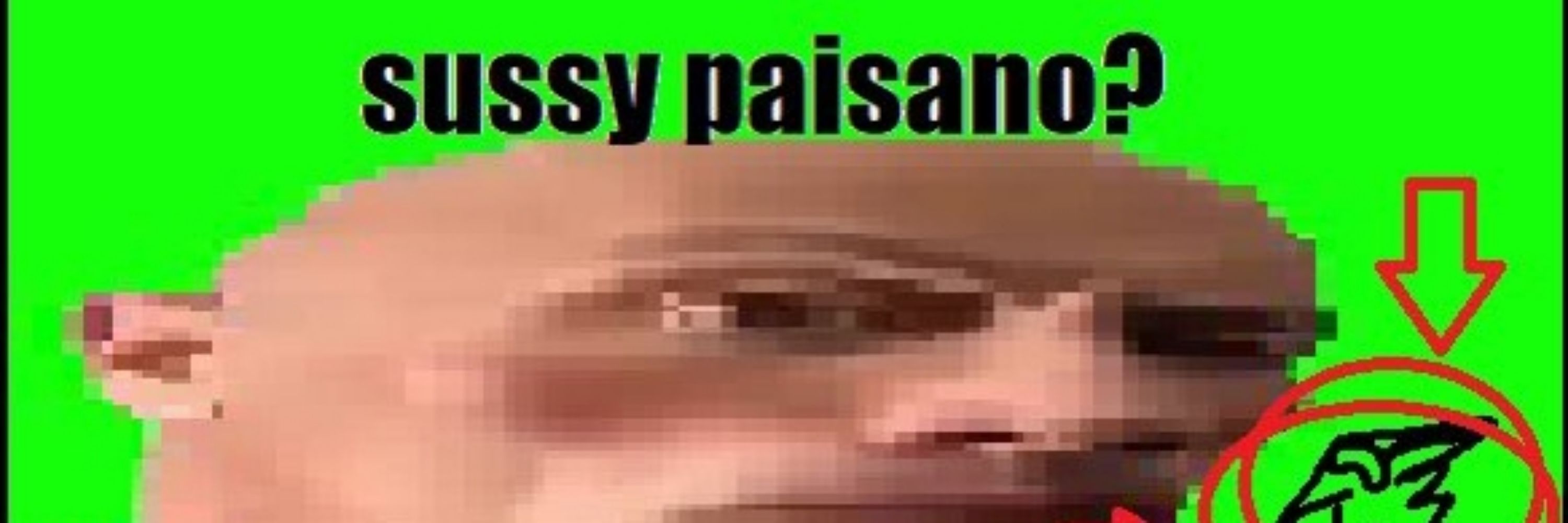 Sketchy_Paisano