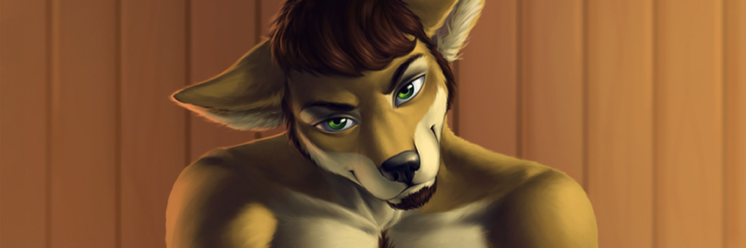 A Dingo After Dark
