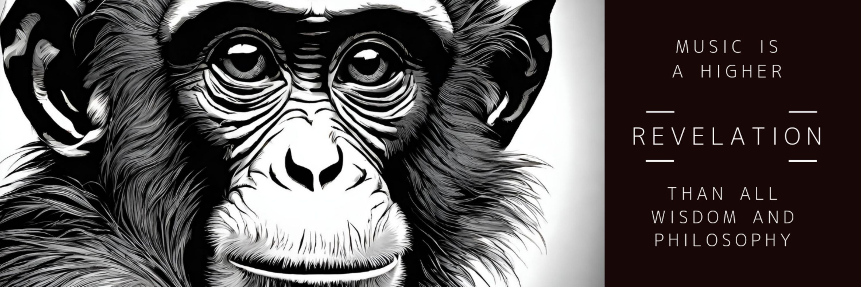 MonkeysMusic616