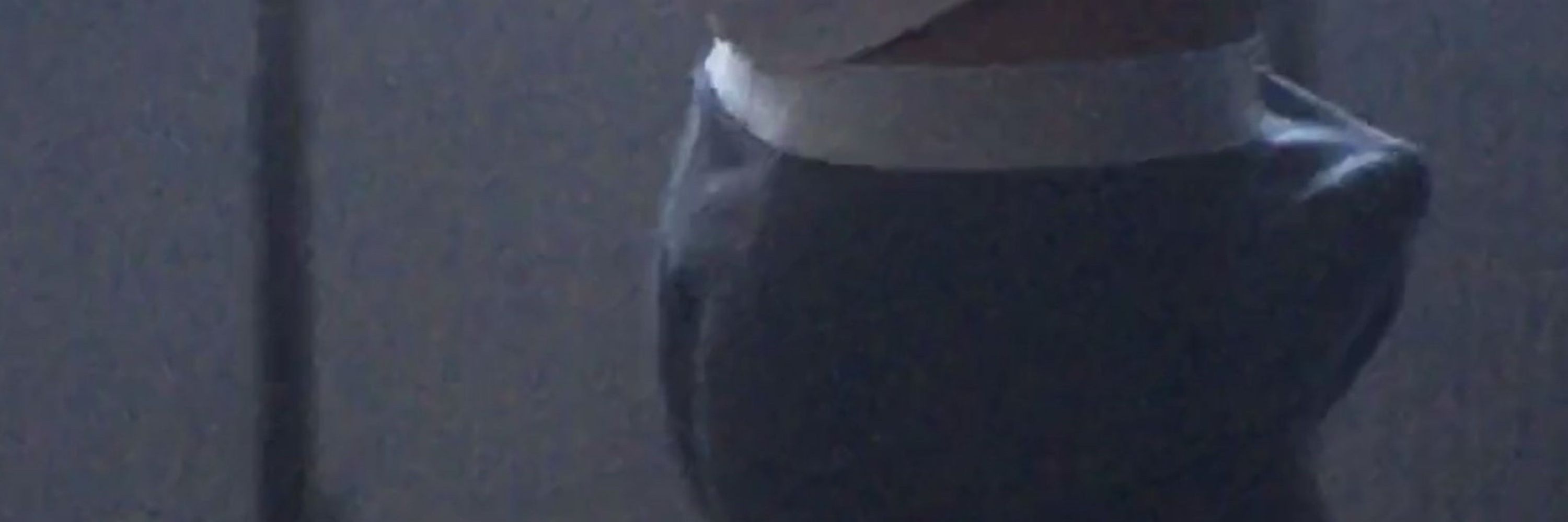 猪猪猪猪猪蹄啊