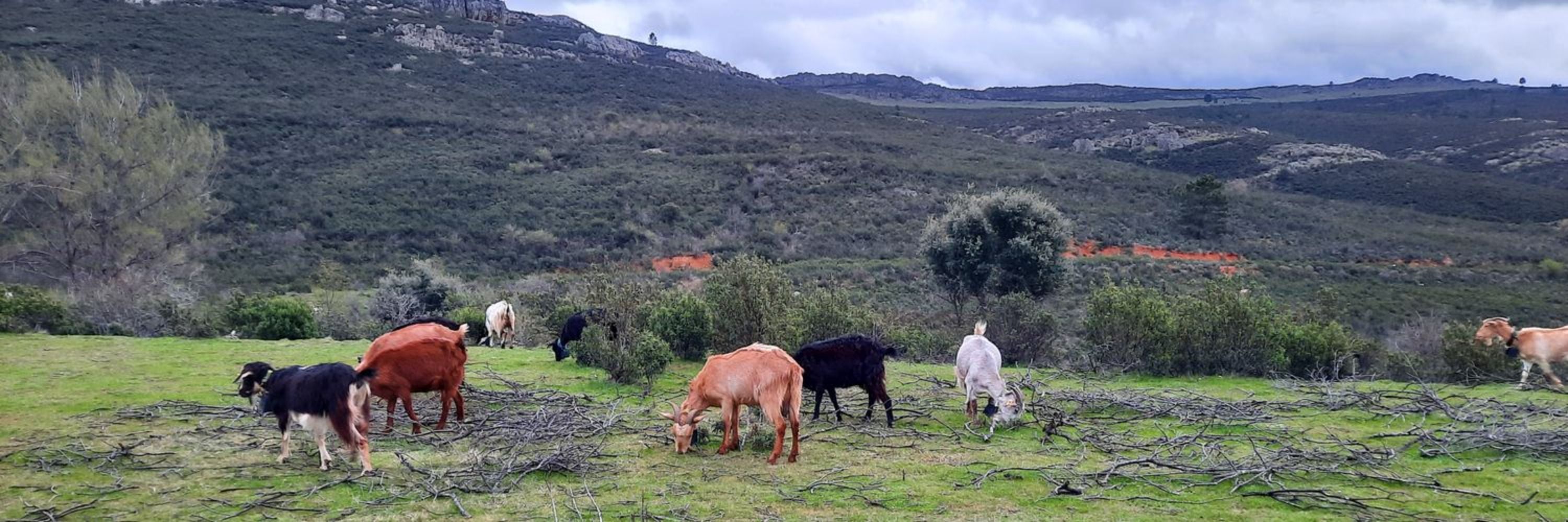 Álvaro Areta