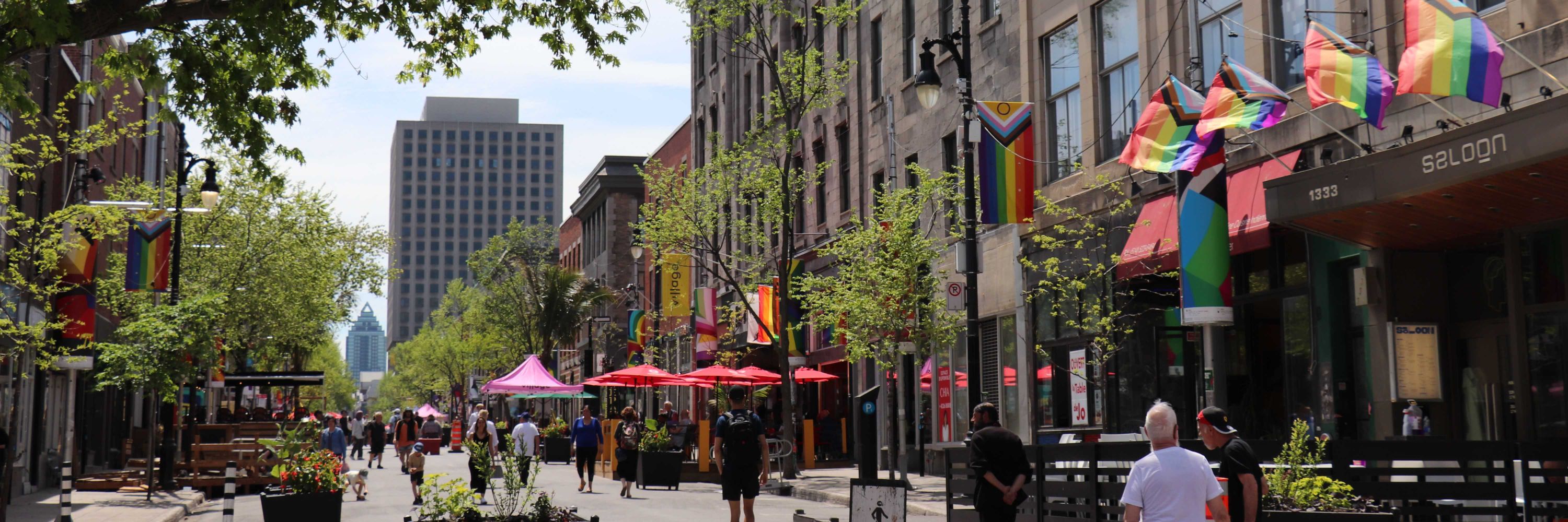 Association Citoyenne du Village de Montréal
