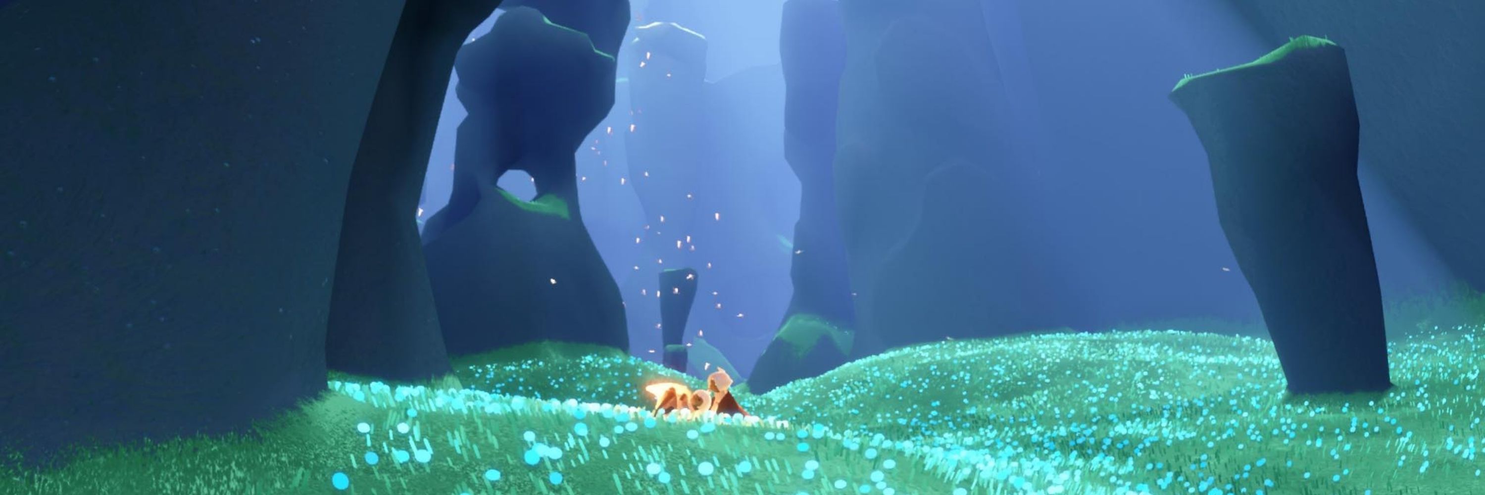 Cosmothestarseer