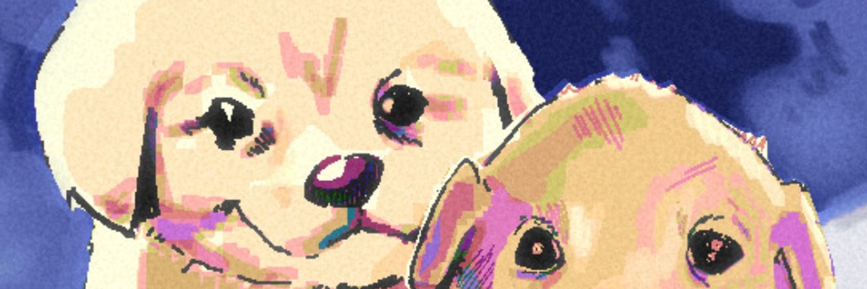 Porky 