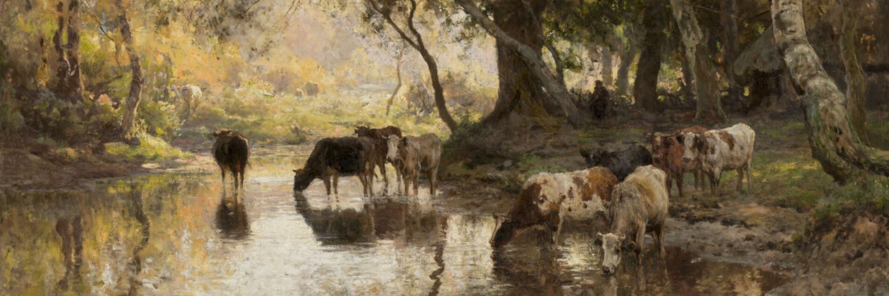 Lars Hoedemaker
