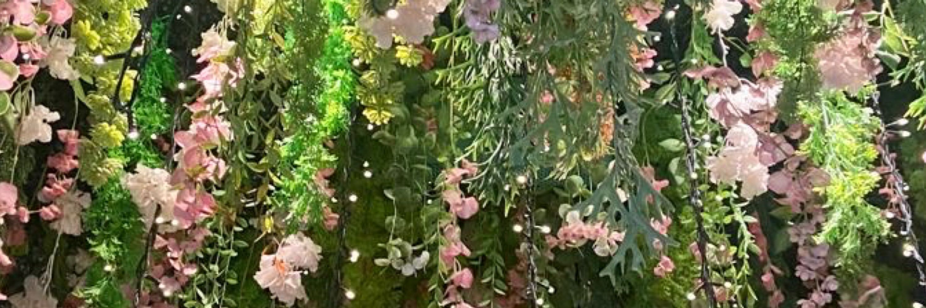 ᝬ 🌸 𝑝𝑎𝑠ℎ𝑡𝑒𝑡𝑎 ˚ ༘♡