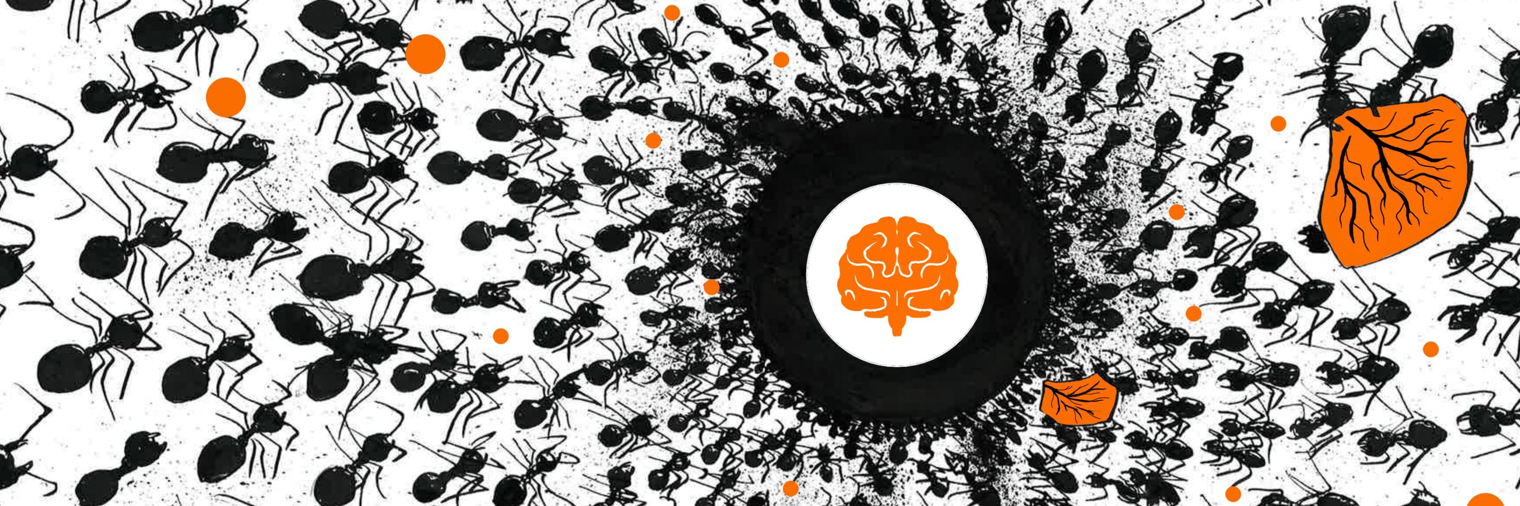 Complexity Science | University Potsdam