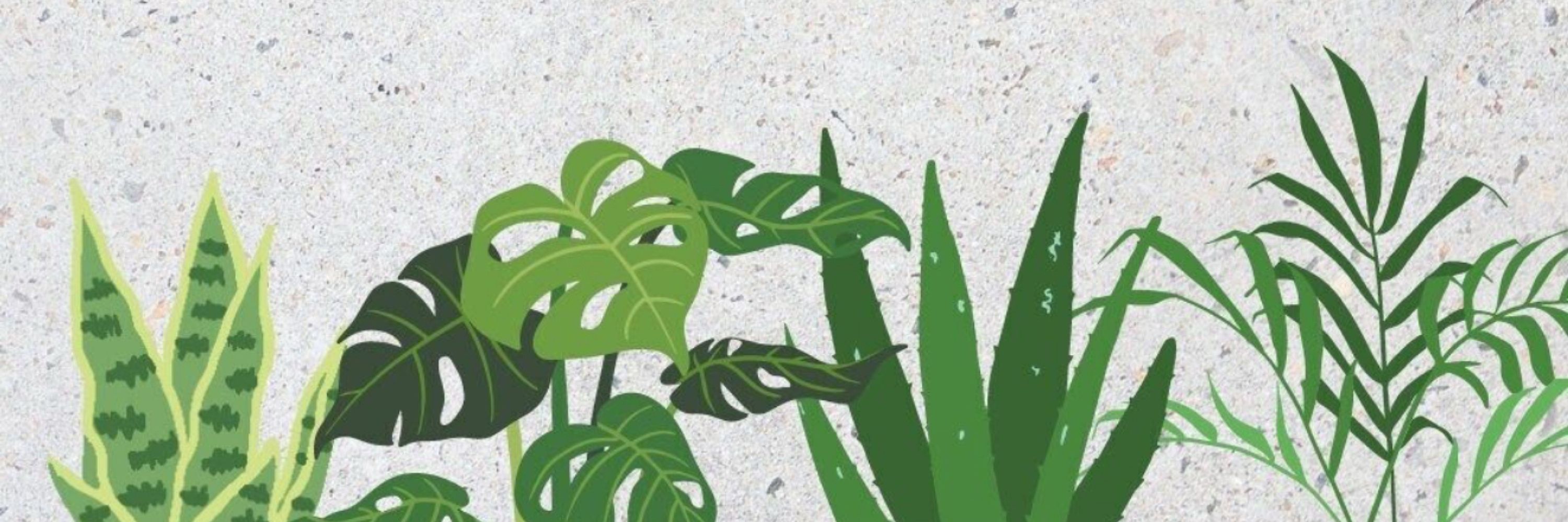 h 🌿
