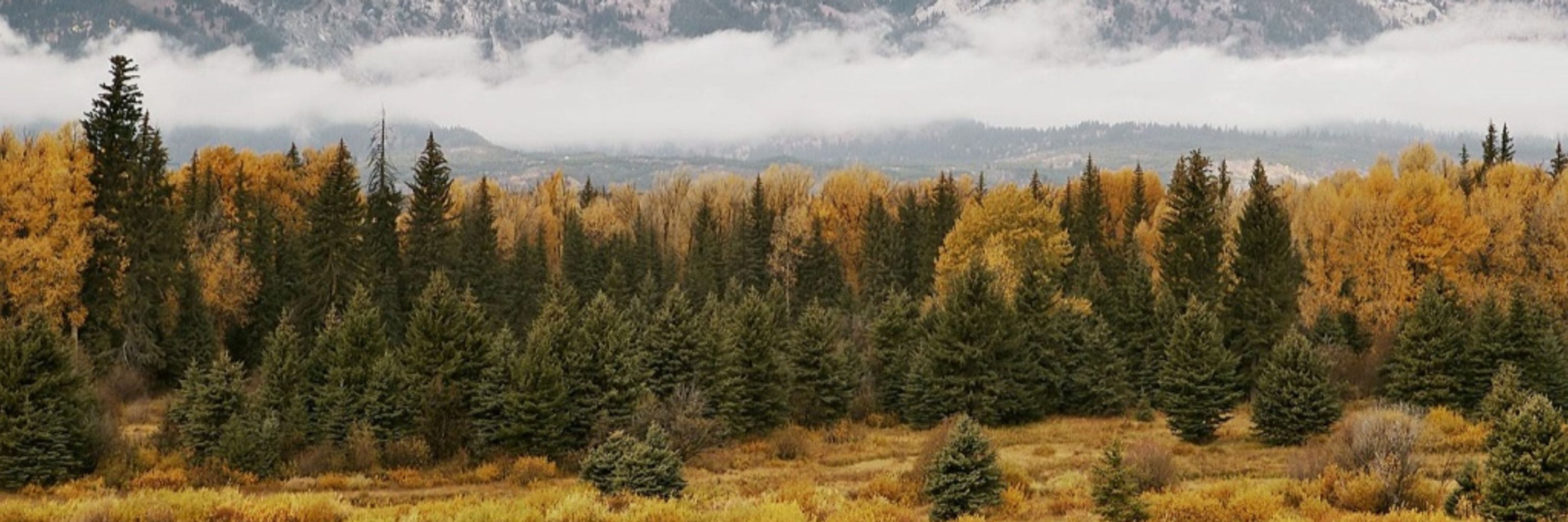 Autumn in the North