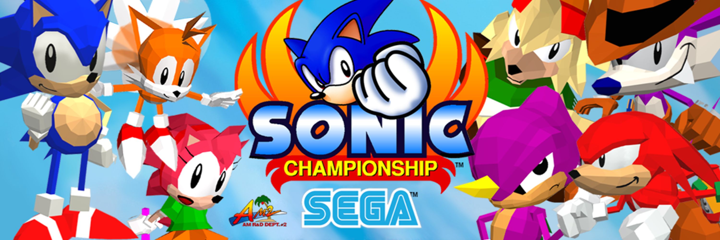 Sonic the Fighters Fact Account