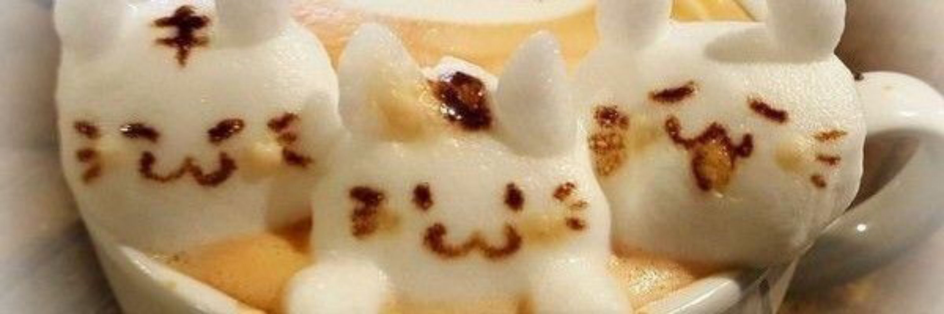 ;«🌈» zhenya!!;