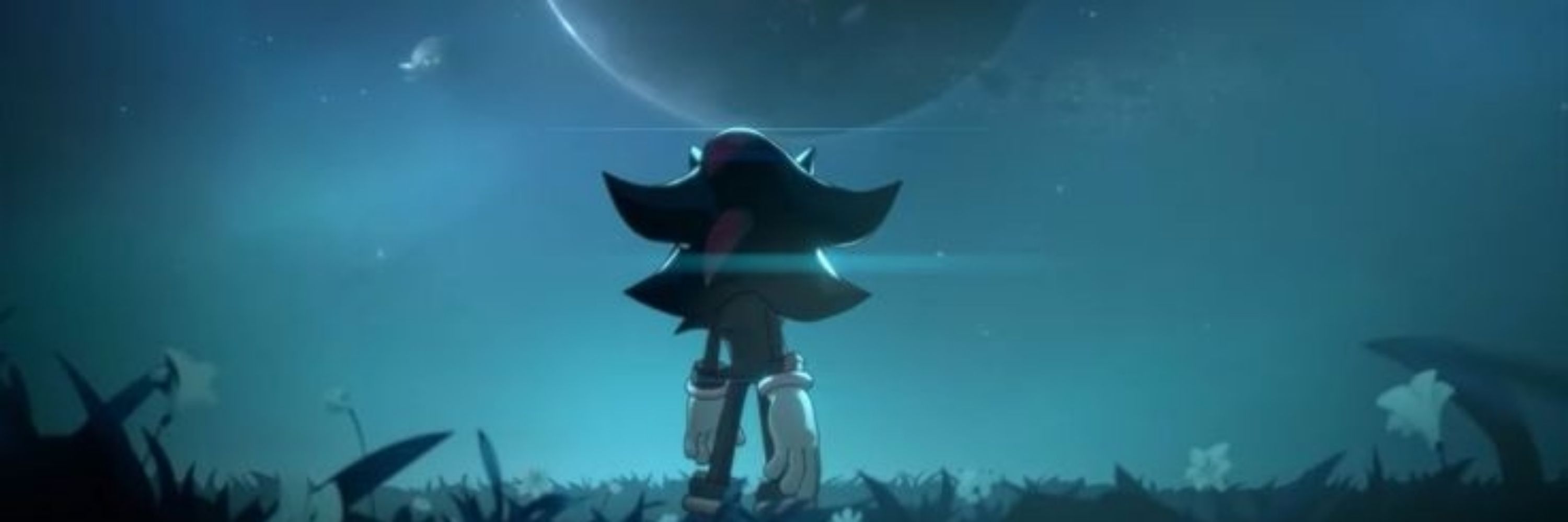 Shadow The Hedgehog