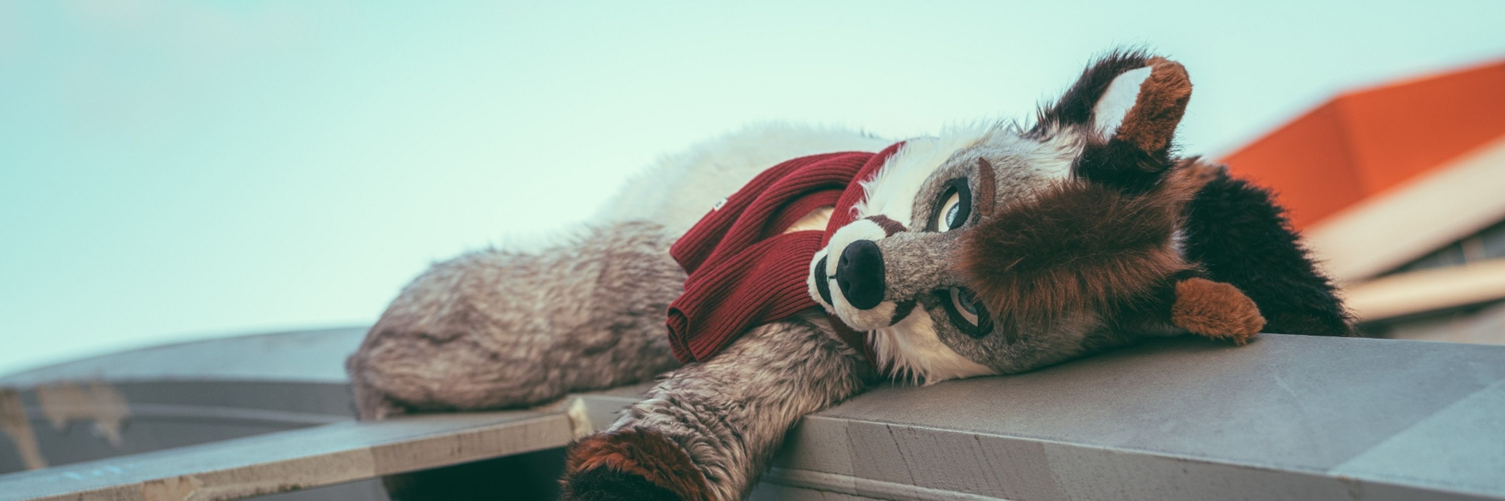 Colin 🦊 @NFC