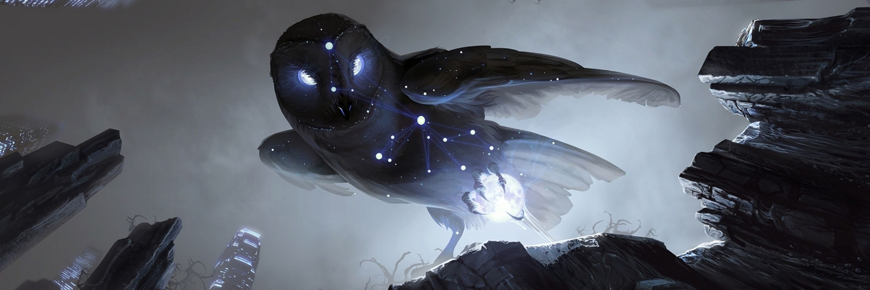 The Night Fowl