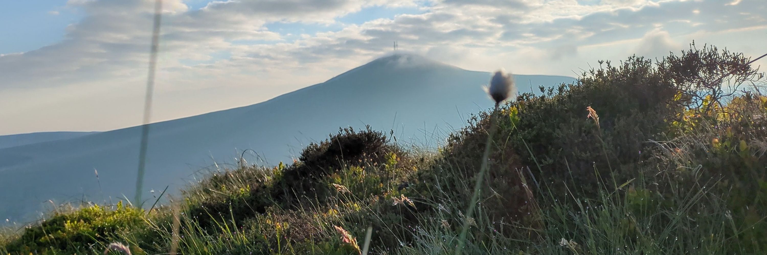 Manx Peat Partnership